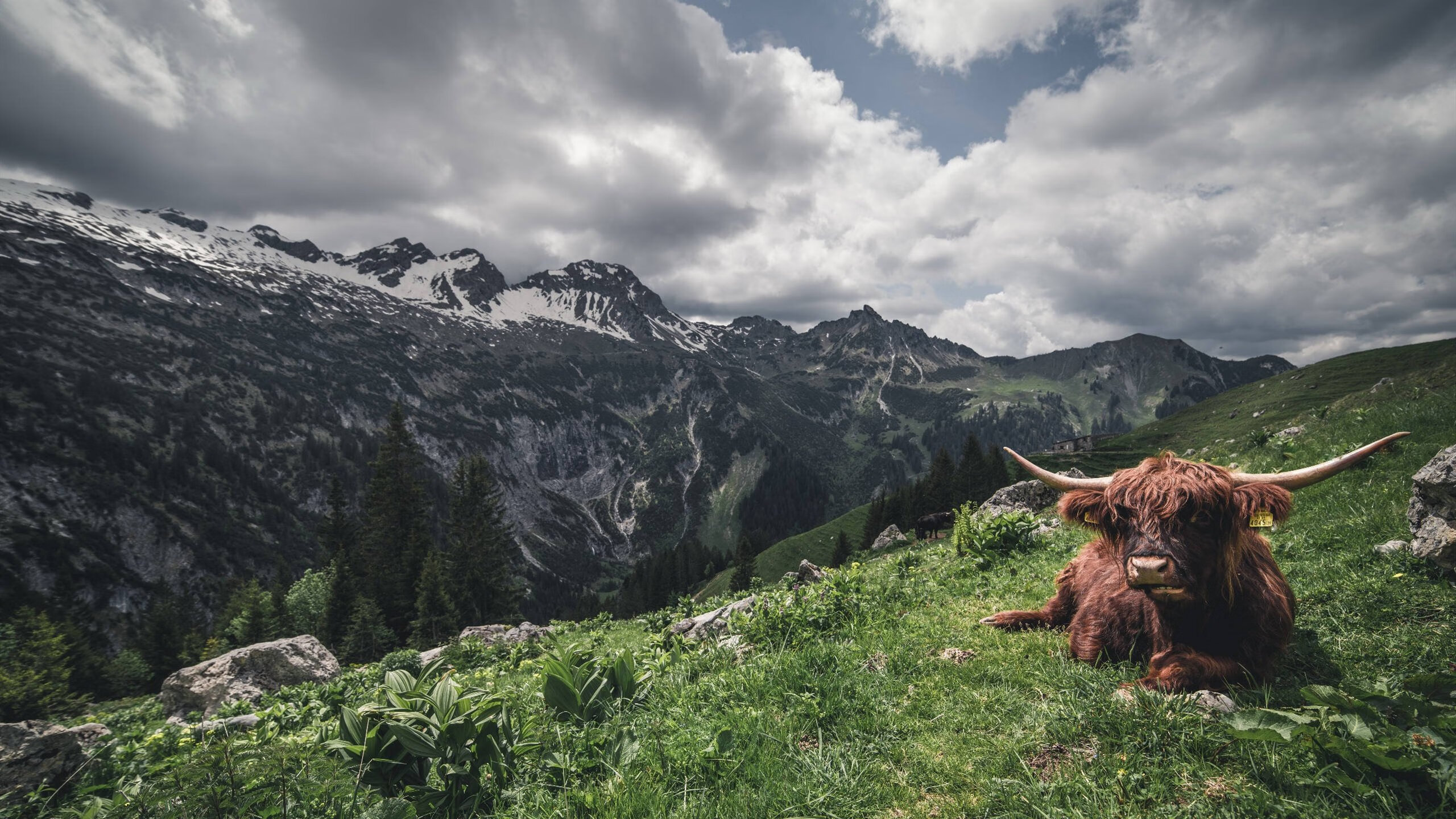 格林纳达男篮在国际邀请赛中表现亮眼,期待未来突破